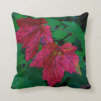 Hint of Fall Cushion