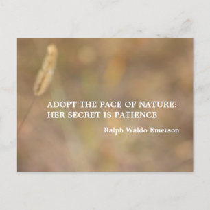 "Hint Of Nature" Photography Art with Quote Postcard