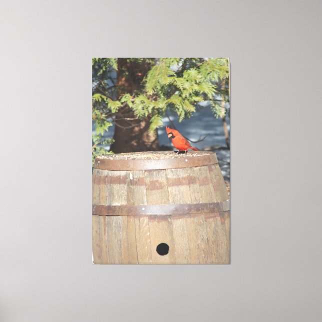 Hint of Red Canvas Print (Front)