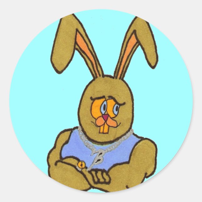 Hip Hop Bunny Rabbit Classic Round Sticker (Front)