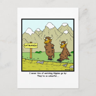 Hippies: Yak cartoon Postcard