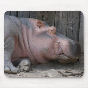 hippo2-4 mouse pad