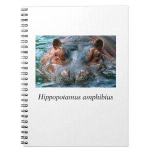 Hippo#1 Spiral Notebook