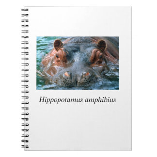 Hippo#1 Spiral Notebook