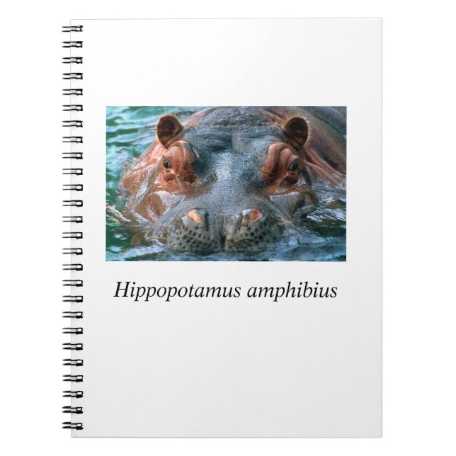 Hippo#1 Spiral Notebook (Front)