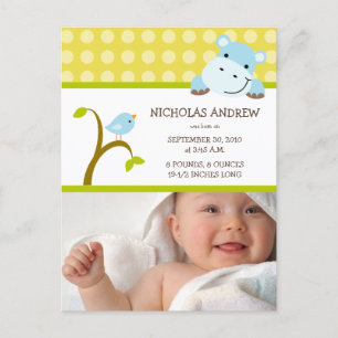 Hippo and Birdie Baby Boy Birth Announcement Postcard