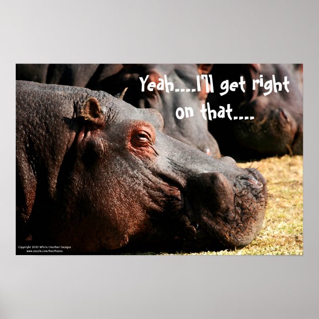 Hippo attitude "I'll get right on that" poster (Front)