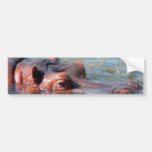 Hippo Bumper Sticker