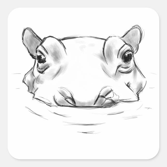 Hippo drawing square sticker (Front)