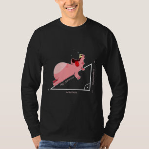 Hippo Hypotenuse Triangle Maths Mathematician T-Shirt