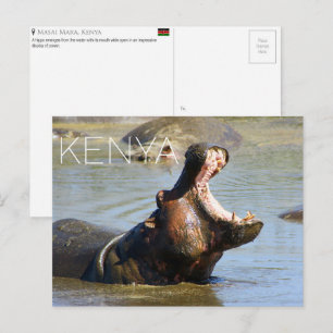 Hippo in Masai Mara, Kenya Travel Postcard