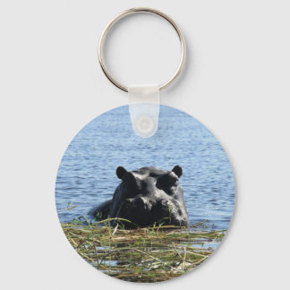 Hippo keychain