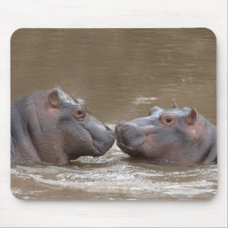 hippo mouse pad