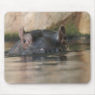 Hippo Mousepad