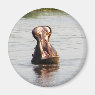 Hippo mouth (round or square magnet) magnet