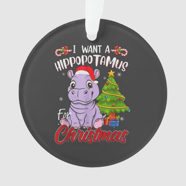 HIPPO  ORNAMENT (Front)