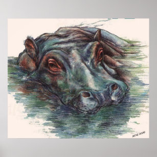 Hippo Painting Hippopotamus Portrait Poster