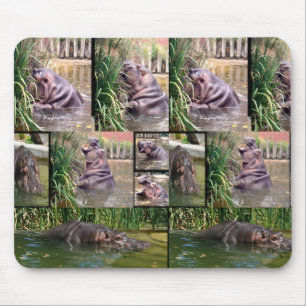 Hippo Photo Collage, Mousepad