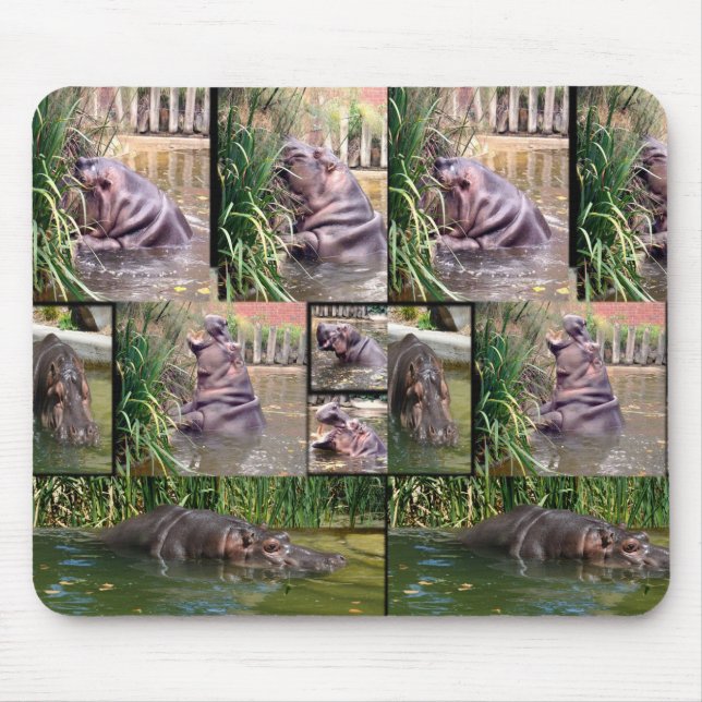 Hippo Photo Collage,  Mousepad (Front)