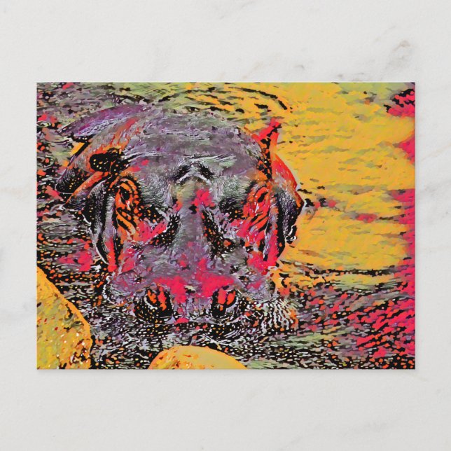 Hippo Post Card (Front)