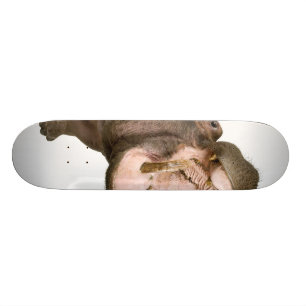 Hippo Skateboard