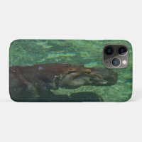 Hippo Swimming Underwater,