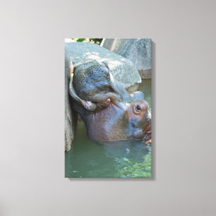 Hippo Wrapped Canvas