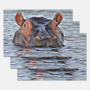 hippo wrapping paper sheet