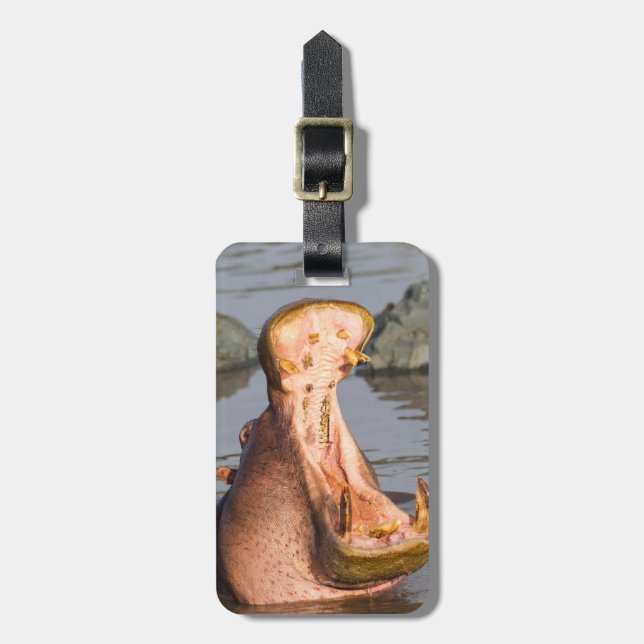 Hippo yawning, Tanzania Luggage Tag (Front Vertical)