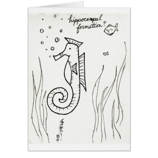 Hippocampal Formation card