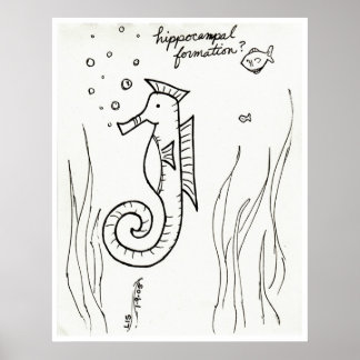 Hippocampal Formation print