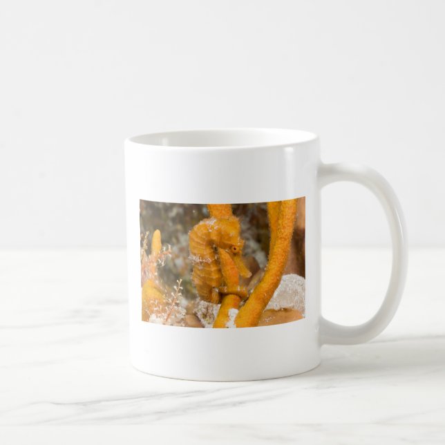Hippocampus reidi - Longsnout Seahorse Coffee Mug (Right)