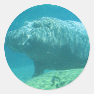 Hippopatumus Habitat Stickers