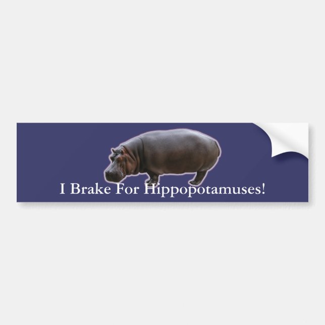 Hippopotamus Bumper Sticker (Front)