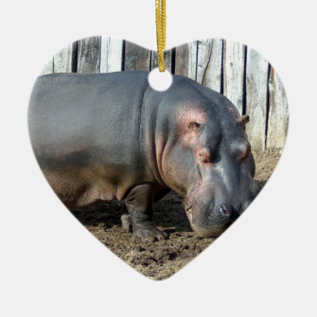 Hippopotamus Christmas Ornament (Front)