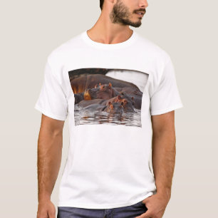 Hippopotamus, Hippopotamus amphibius, Lake T-Shirt