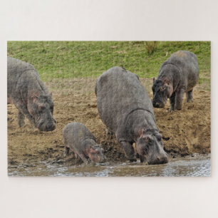 Hippopotamus, Hippopotamus amphibius, Serengeti Jigsaw Puzzle