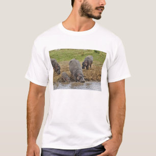 Hippopotamus, Hippopotamus amphibius, Serengeti T-Shirt