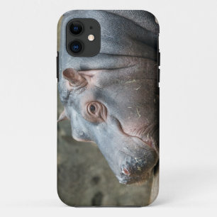 Hippopotamus iPhone case