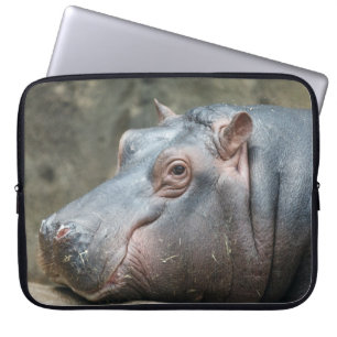 Hippopotamus laptop sleeves