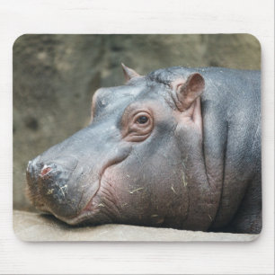 Hippopotamus mousepad
