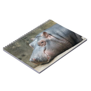 Hippopotamus notebook