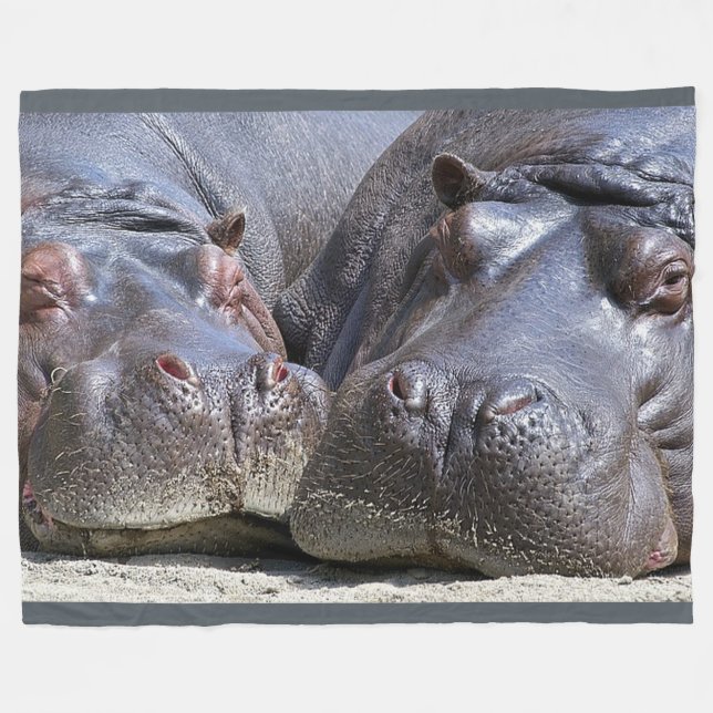 Hippopotamus on Large Fleece Blanket (Front (Horizontal))