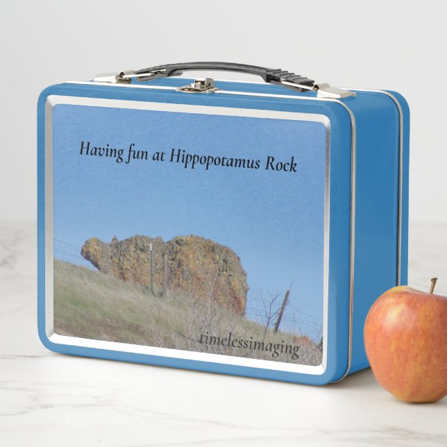 Hippopotamus Rock on the front of Lunch Box (In Situ)