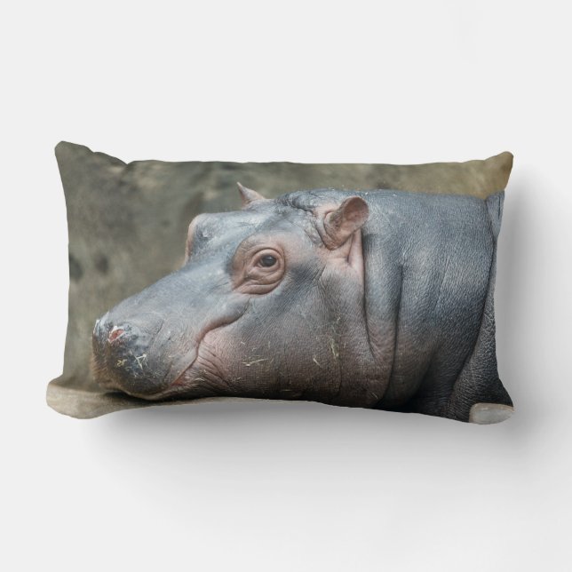 Hippopotamus throw pillow (Front)