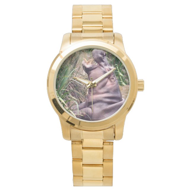 Hippopotamus Trying To Climb, Watch (Front)