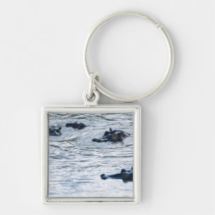 Hippopotamuses wading in a river, Africa Key Ring