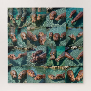 Hippos at Play: A Pond Paradise Jigsaw Puzzle