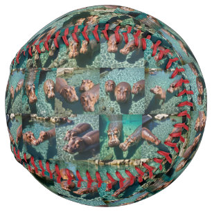 Hippos at Play: A Pond Paradise Softball