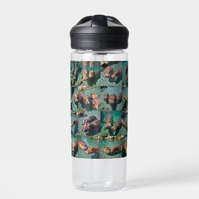 Hippos at Play: A Pond Paradise Water Bottle (Front)